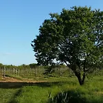 Podere Marella