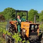 Podere Marella Farm stay I Pieracci