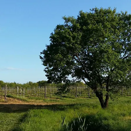 Podere Marella