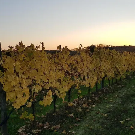 Podere Marella 农家乐 *