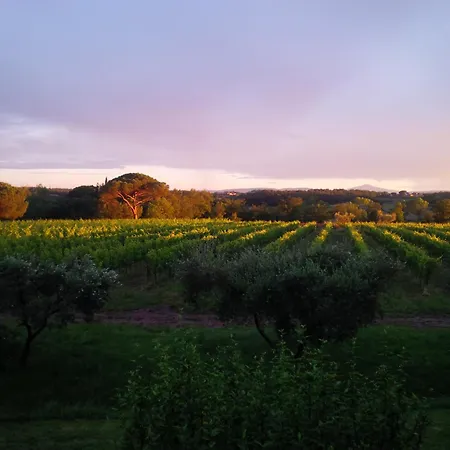 Farmház Podere Marella