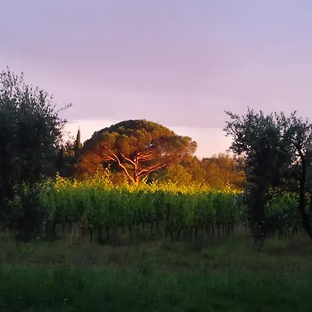 Podere Marella 农家乐 *