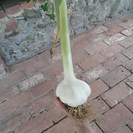 Podere Marella * I Pieracci