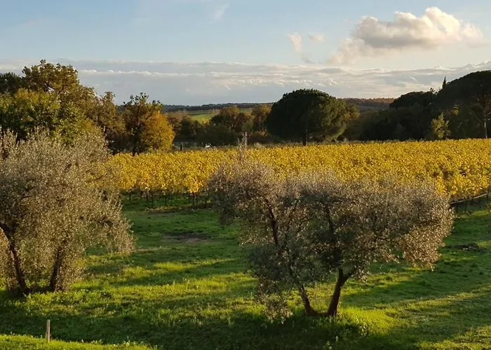 Podere Marella I Pieracci