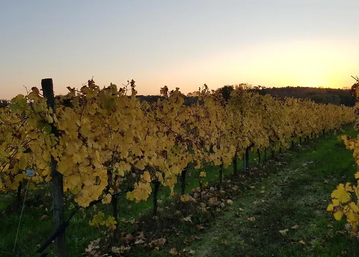 Podere Marella ファームステイ *