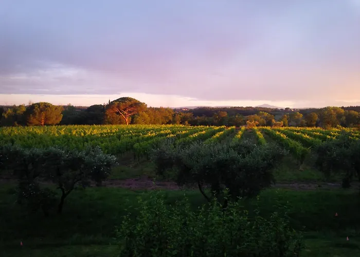 ファームステイ Podere Marella